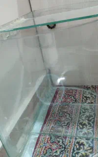 آکواریوم