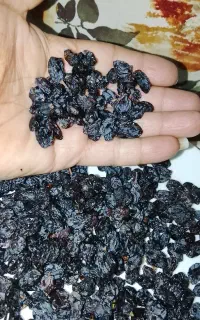 کشمش بیدانه مویز