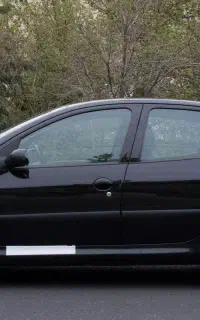 206 sd