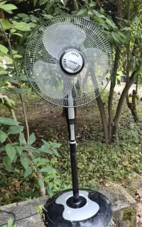 پنکه تایمردار Sunny