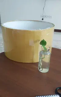 شید اباژور نو