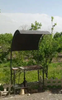 باربیکیو
