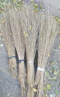 مقداری جارو برای فروش داریم
