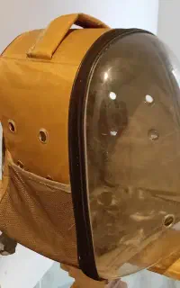 کیف گربه
