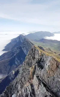تور اوپرت