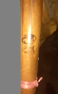 نی همونه