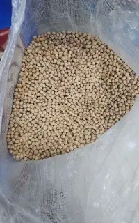 نخود کرمانشاهی