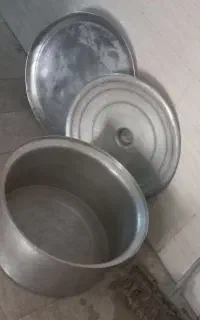 دیک بزرگ روحی وسینی