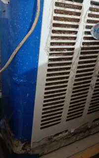 کلرابی3500،چراغ سبلان وگلوی پنجه اگزوز