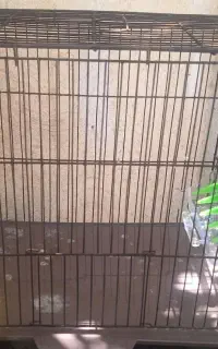 قفس پرنده