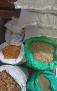 حبوبات  قیمت عمده با کالا برگ