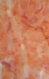 سنگ اوپن مرمر