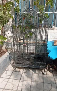 قفس کاسگو