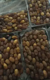 رطب