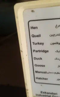 فروش دستگاه جوجه کشی اسکندری اتوماتیک
