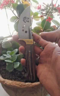 کارد کوهنوردی(چاقو)اصل