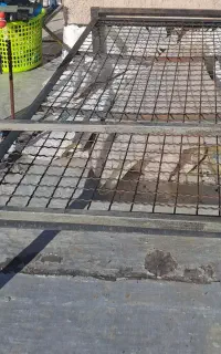 درحدنو