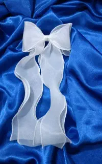 گیره مو پاپیونی