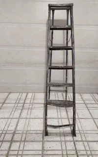 نردبون
