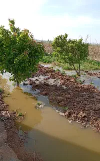 ماهدشت باغچه پیشک3 قیمت متر مربع 2500