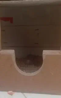 لونه پرنده