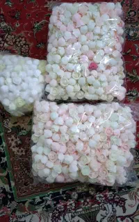 گل فومی