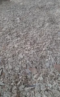 نان خشک دامی