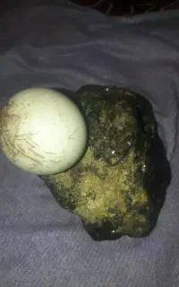 فروش سنگ آسیاب ـ شهاب شنگ