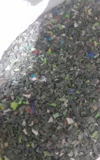 فروش سنگ احتمال فسیل داره
