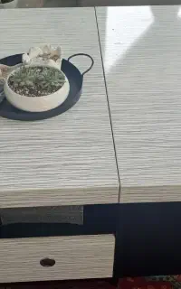 میز جلو مبلی