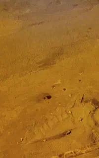 ماسه
