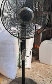پنکه