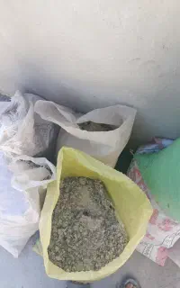 کود کبوتر