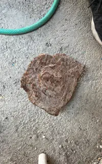 شهاب سنگ مریخی