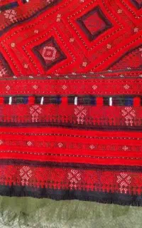 زیح جوک گمشده 1405/04/08