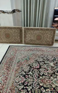 یک جفت پشتی 700شانه