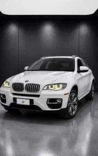 BMW X6 2014 پلاک دائم