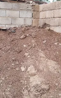 کودگاو