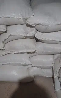 سبوس گندم مزرعه ماهشهر