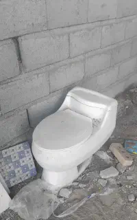 تولت فرنگی