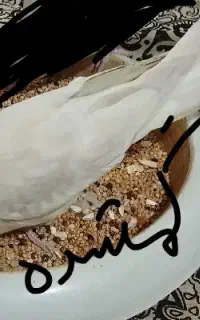 طوطی گمشده