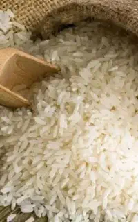 برنج پاکوتا کیفیت درجه یک