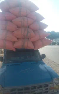کاه درجه یک صندوقی نرم