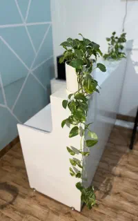 فروش میز MDF