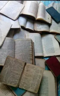 مترجم زبان عربی