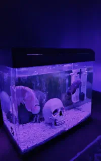 اکواریوم شرکتی AQUA600