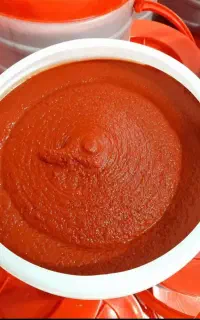 رب گوجه فرنگی ارگانیک سید