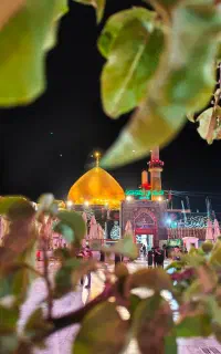 تور کربلا ۶ روزه نقد اقساط