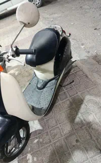 پاکشتی اسکپی