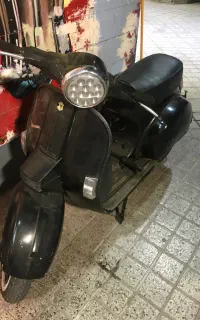 وسپا سرحال کاملا سالم